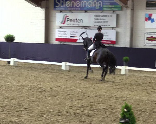 Reitturnier Borken 2016