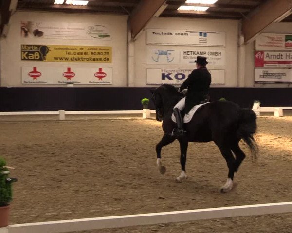 Reitturnier Borken 2016