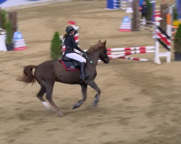 Reitturnier Buchs 2021