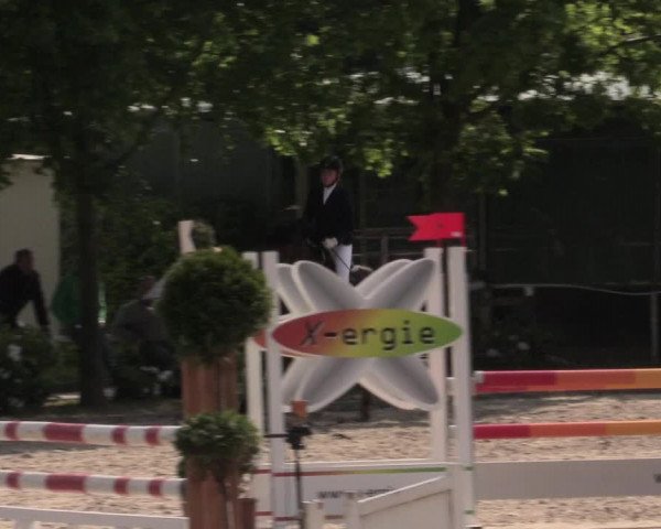 Reitturnier Bochum-Nord 2016