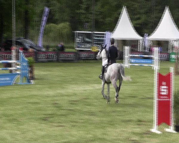 Reitturnier Borken 2016