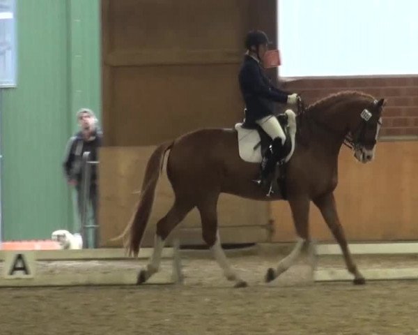 Reitturnier Iserlohn-Kalthof 2016