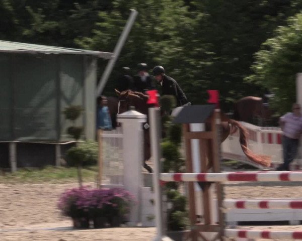 Reitturnier Bochum-Nord 2016