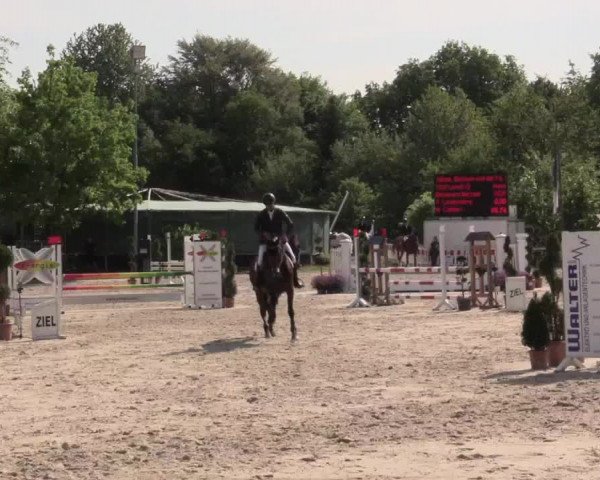 Reitturnier Bochum-Nord 2016