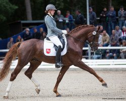 Deckhengst Vidar (Hannoveraner, 2014, von Viscount 22)