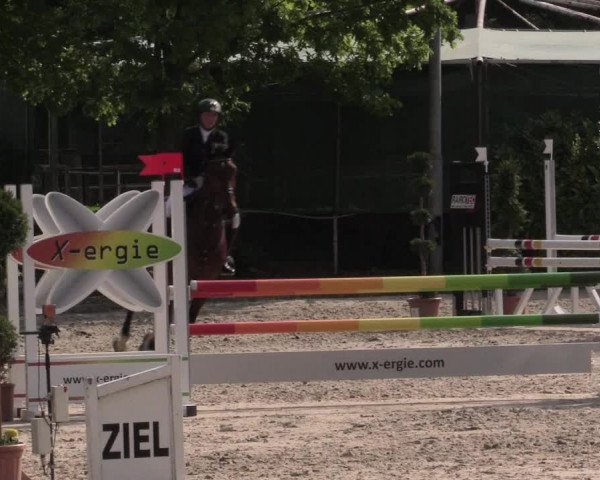 Reitturnier Bochum-Nord 2016