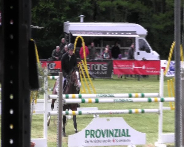 Reitturnier Borken 2016