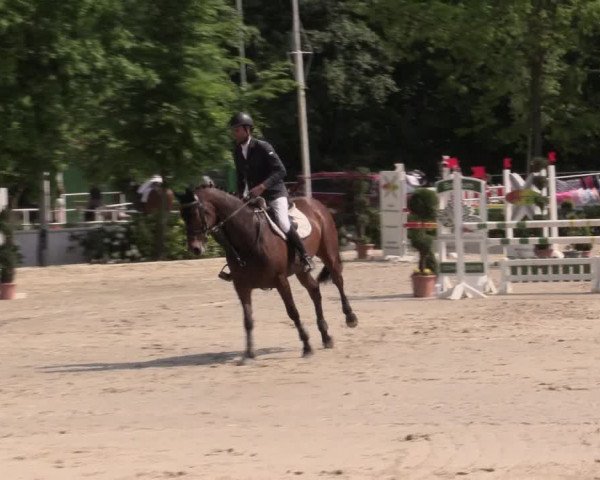 Reitturnier Bochum-Nord 2016