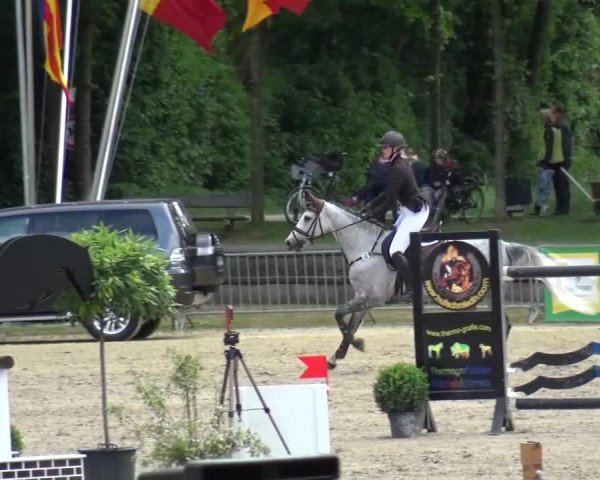 Reitturnier Mönchengladbach-Wickrath 2016