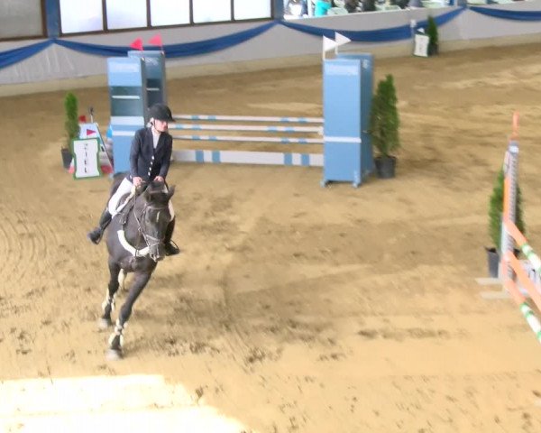 Reitturnier Buchs 2021