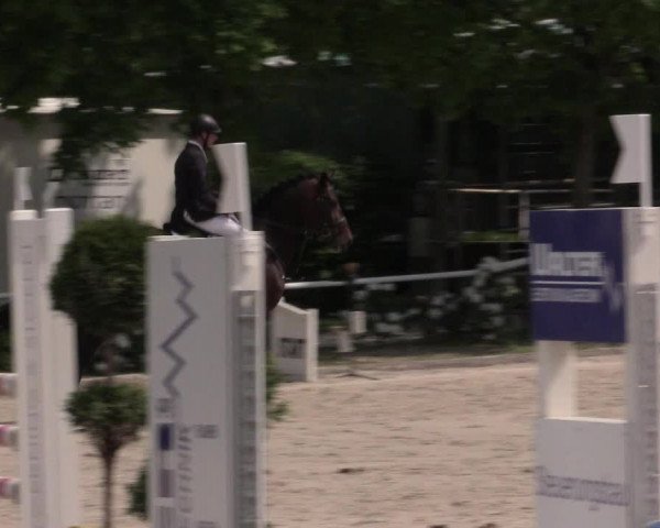 Reitturnier Bochum-Nord 2016