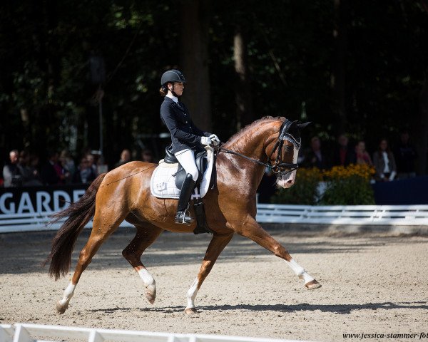 dressage horse Qu'est-ce que c'est (Hanoverian, 2014, from Quaterhall)