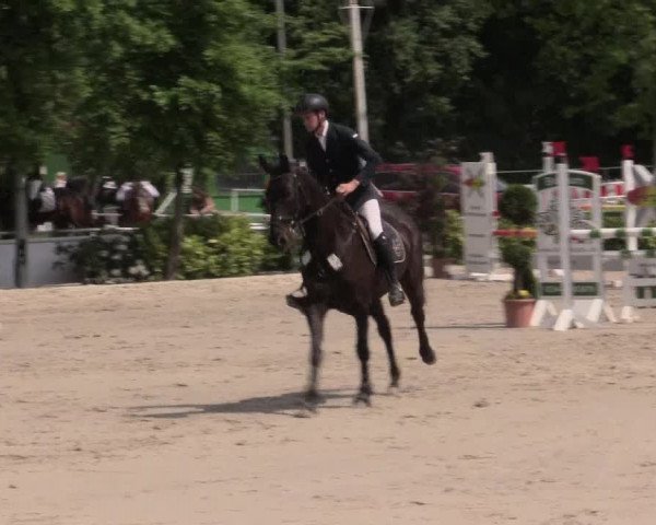 Reitturnier Bochum-Nord 2016