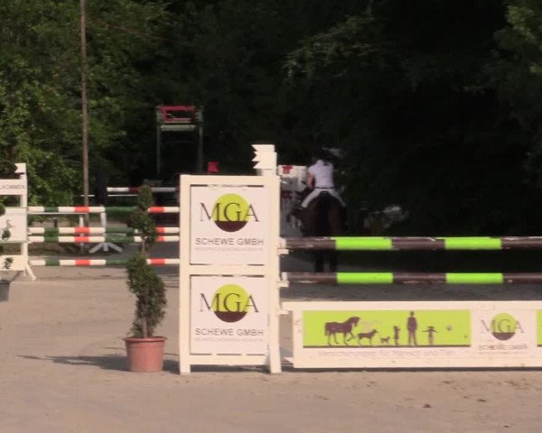 Reitturnier Bochum-Nord 2016
