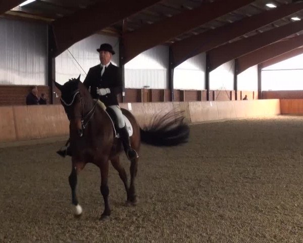 Reitturnier Iserlohn-Kalthof 2016