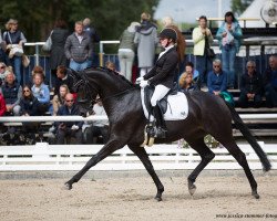 dressage horse GALINA (Oldenburg, 2014, from Grey Flanell)