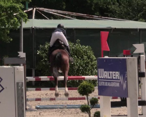Reitturnier Bochum-Nord 2016