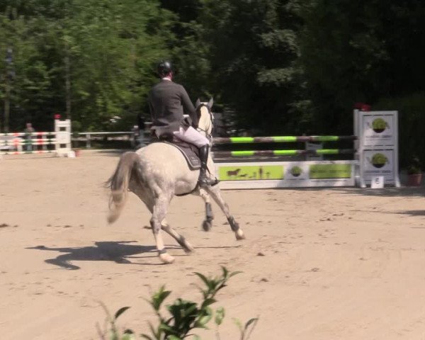 Reitturnier Bochum-Nord 2016