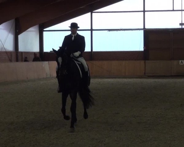 Reitturnier Iserlohn-Kalthof 2016