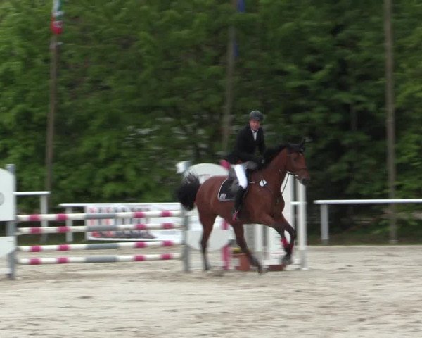 Reitturnier Bochum-Nord 2016