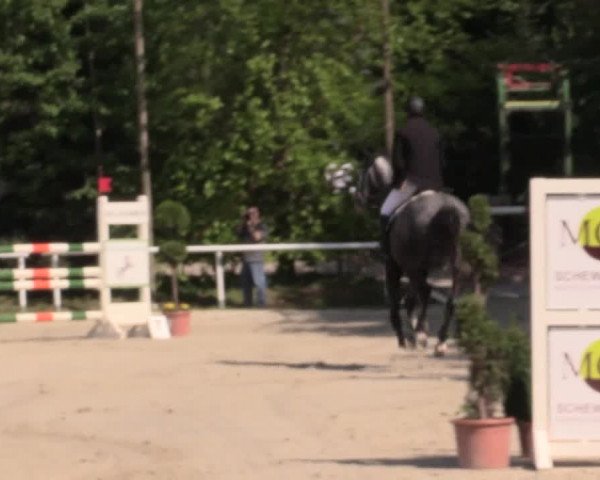Reitturnier Bochum-Nord 2016