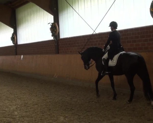 Reitturnier Iserlohn-Kalthof 2016