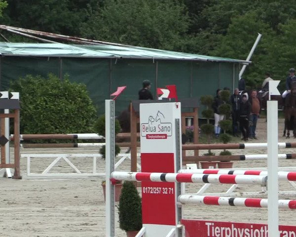 Reitturnier Bochum-Nord 2016