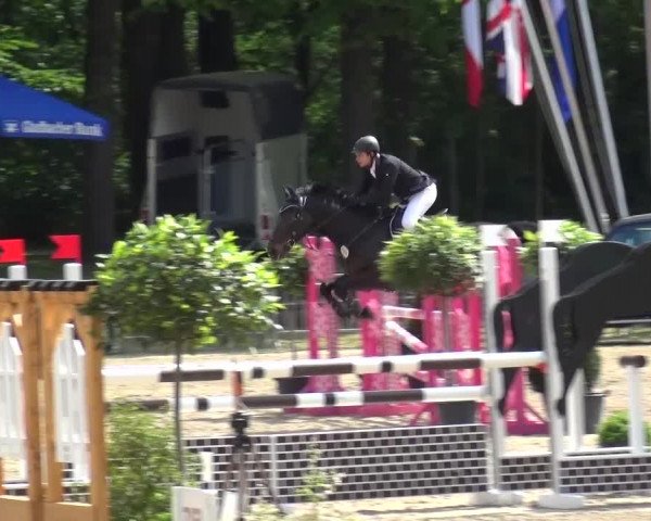 Reitturnier Mönchengladbach-Wickrath 2016