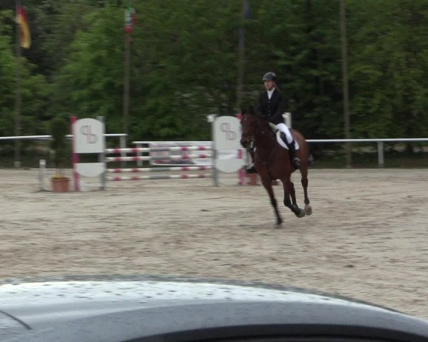 Reitturnier Bochum-Nord 2016