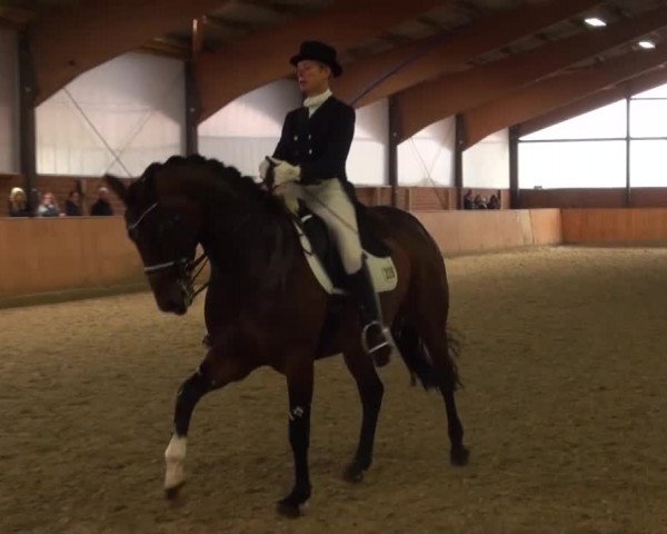Reitturnier Iserlohn-Kalthof 2016