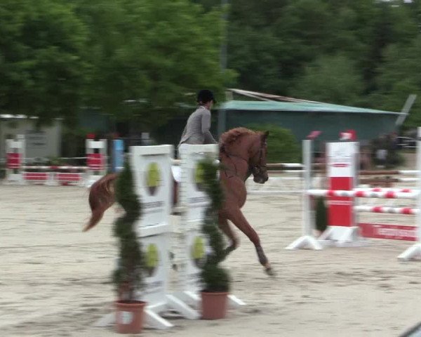 Reitturnier Bochum-Nord 2016