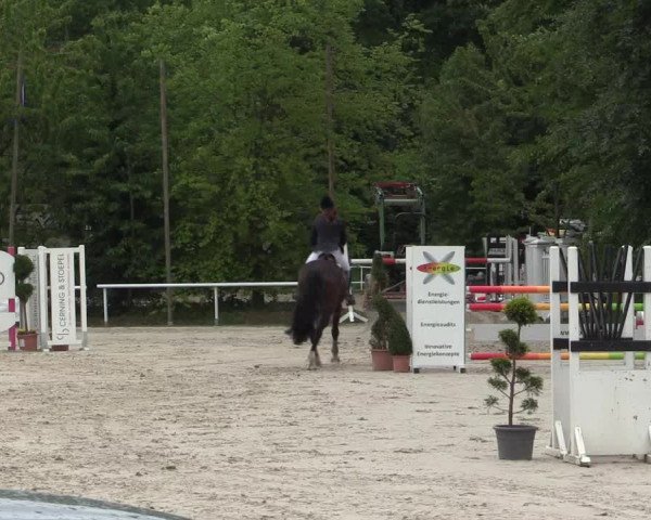 Reitturnier Bochum-Nord 2016