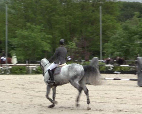 Reitturnier Bochum-Nord 2016