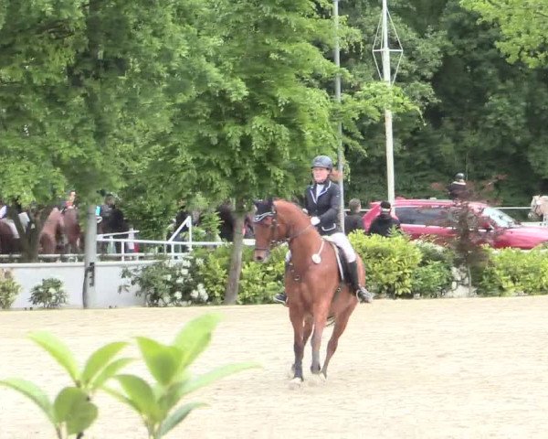 Reitturnier Bochum-Nord 2016
