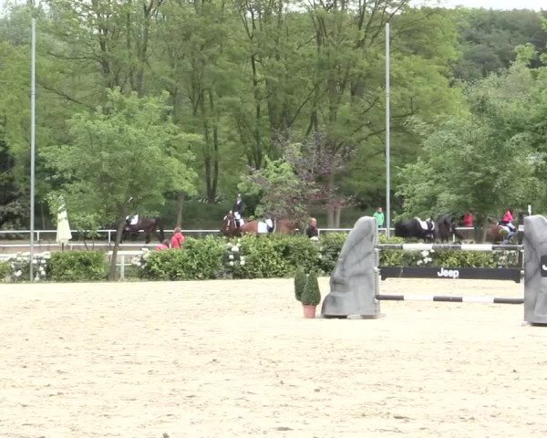 Reitturnier Bochum-Nord 2016