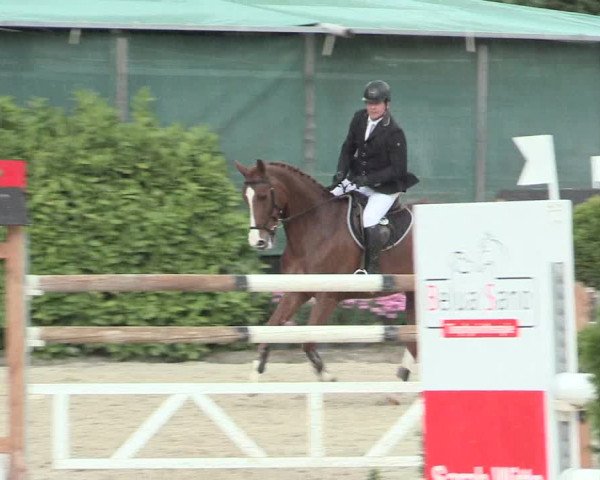 Reitturnier Bochum-Nord 2016