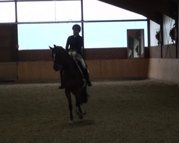 Reitturnier Iserlohn-Kalthof 2016