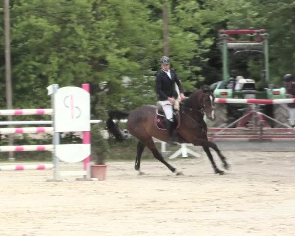 Reitturnier Bochum-Nord 2016