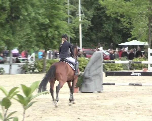 Reitturnier Bochum-Nord 2016