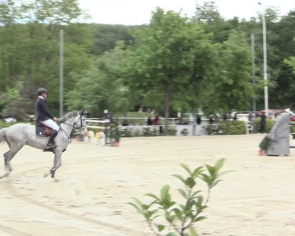 Jezdecký turnaj Bochum-Nord 2016