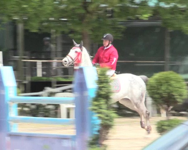 Reitturnier Bochum-Nord 2016