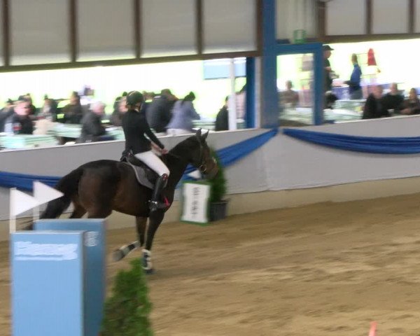 Reitturnier Buchs 2021