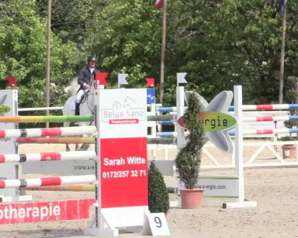 Reitturnier Bochum-Nord 2016