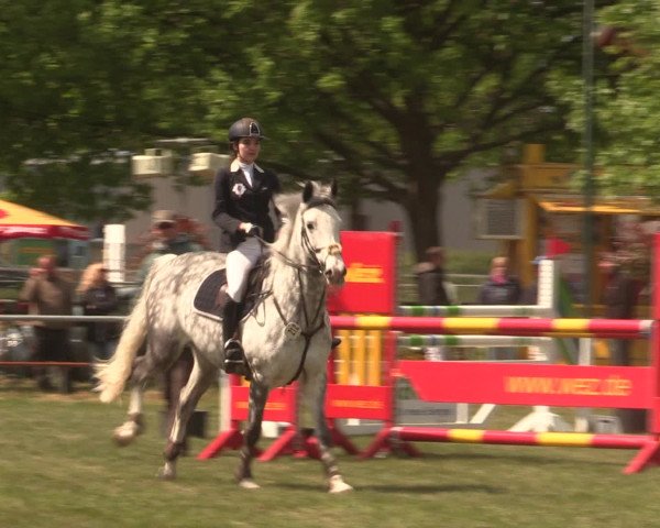 Reitturnier Kreuzkrug 2016
