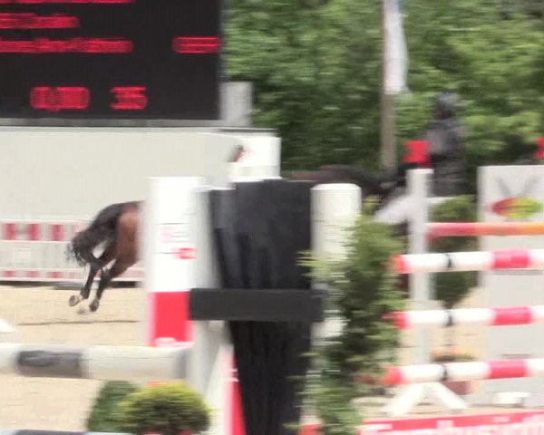 Reitturnier Bochum-Nord 2016