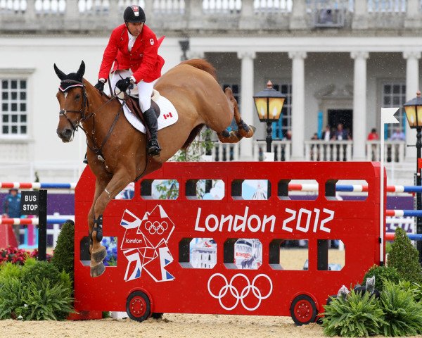 broodmare Derly Chin de Muze (Belgian Warmblood, 2003, from For Pleasure)