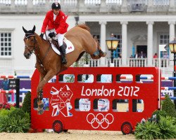 broodmare Derly Chin de Muze (Belgian Warmblood, 2003, from For Pleasure)