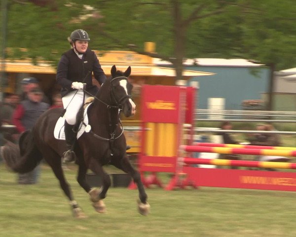 Reitturnier Kreuzkrug 2016