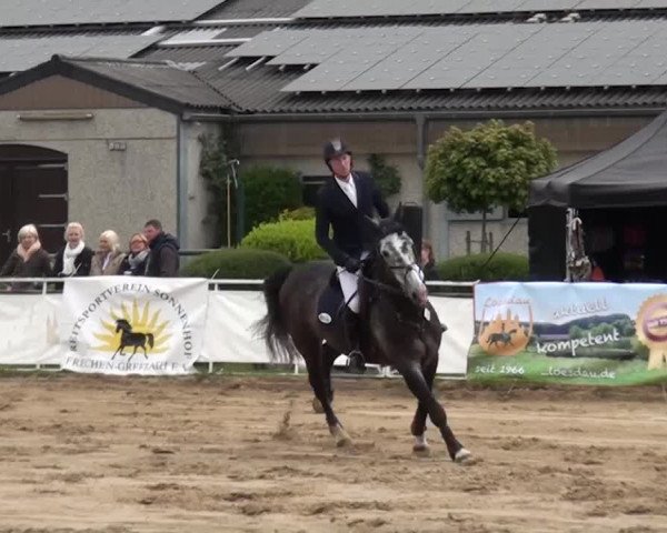 Reitturnier Frechen-Grefrath - Sonnenhof 2016