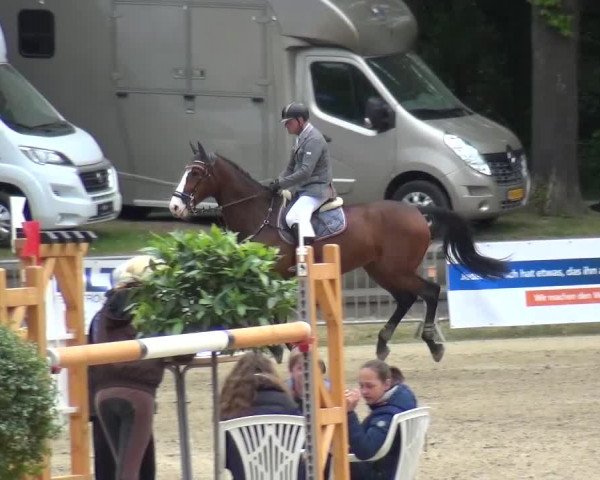 Reitturnier Mönchengladbach-Wickrath 2016